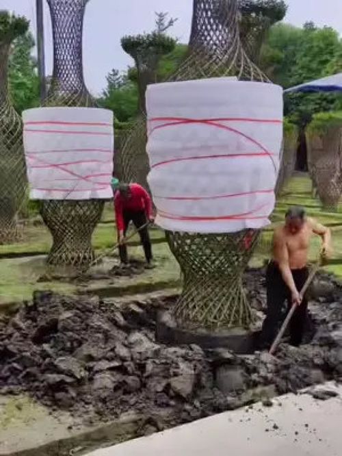 巨無霸紫薇造型樹震撼登場，金牌苗木人誠信供應(yīng)精品綠化苗木